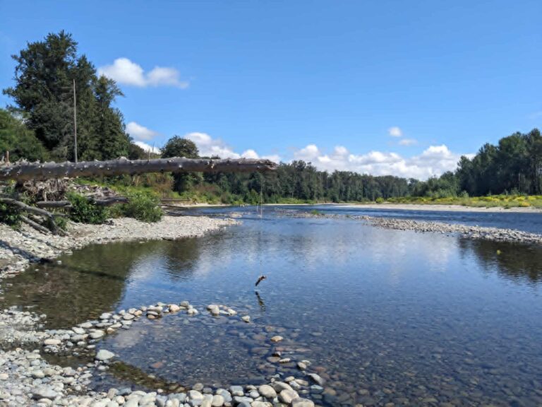Dog Friendly Day Trip from Seattle: Easy Trails & Best Eats for Families in Summer