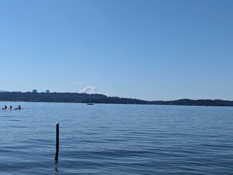 7 Best Family & Dog-Friendly Parks in Greater Seattle and Suburbs